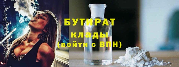 индика Вязьма