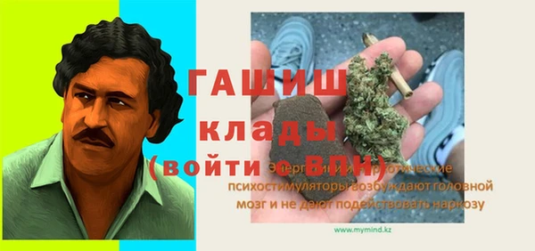 индика Вязьма