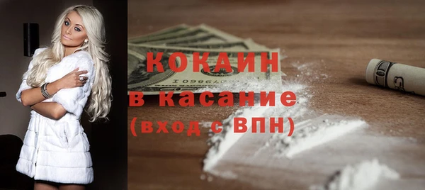 индика Вязьма
