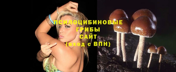 дурь Вязники