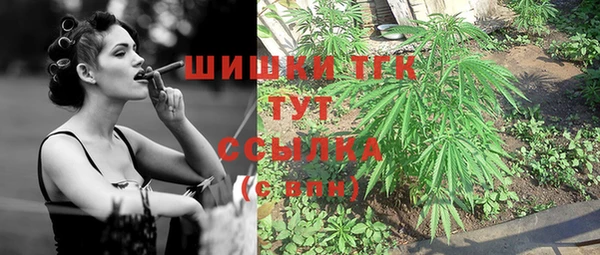 индика Вязьма