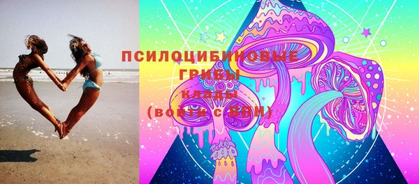 прущий лед Горно-Алтайск