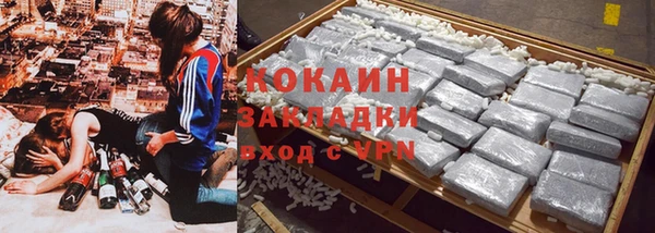 индика Вязьма