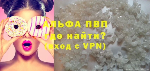 индика Вязьма