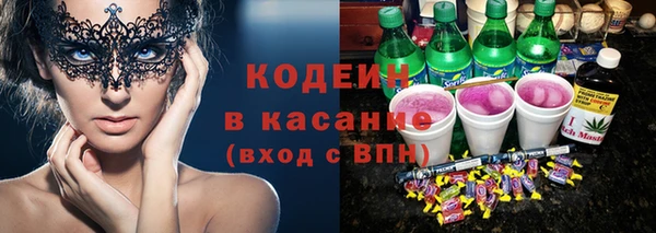 индика Вязьма