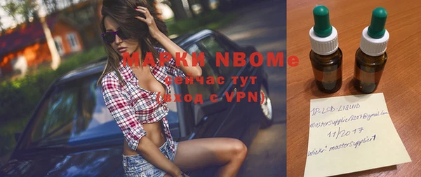 индика Вязьма